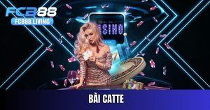bai-catte