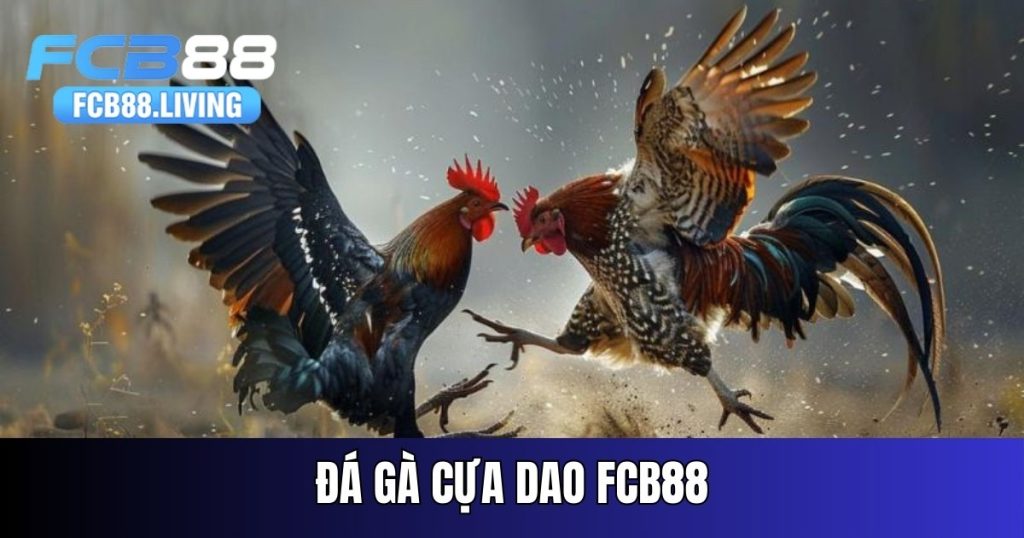 da-ga-cua-dao