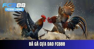 da-ga-cua-dao
