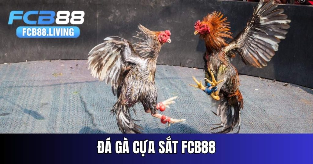 da-ga-cua-sat