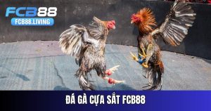 da-ga-cua-sat