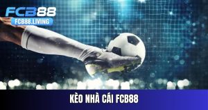 keo-nha-cai