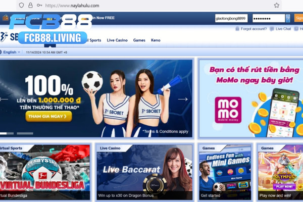 kham-pha-he-thong-ca-cuoc-the-thao-sbobet-fcb88